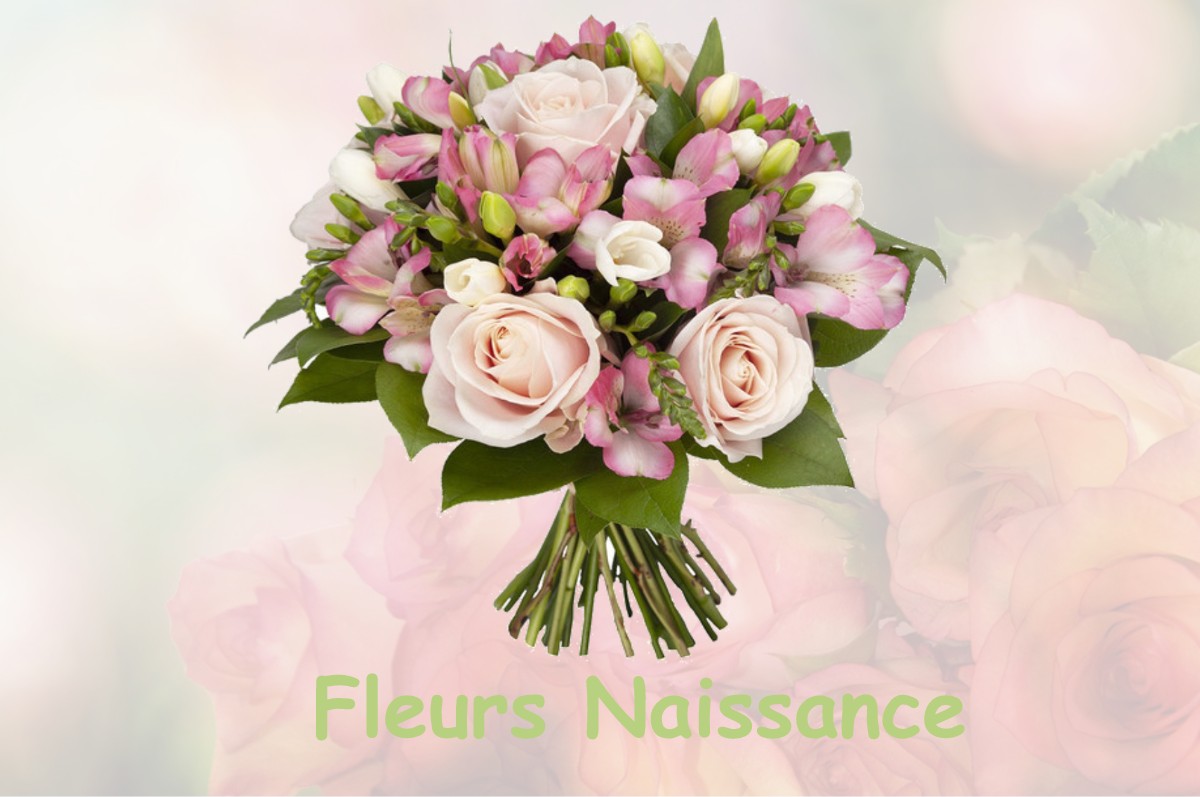 fleurs naissance AUREC-SUR-LOIRE